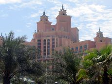 029 Palme, Hotel Atlantis.JPG